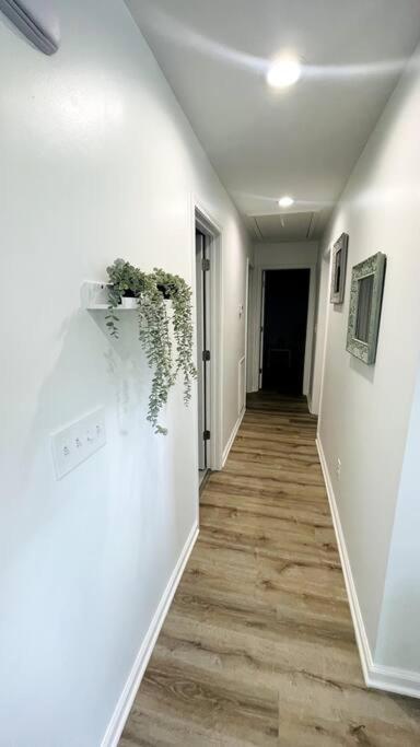שרלוט Modern Home Near Uptown Clt, Airport And More מראה חיצוני תמונה